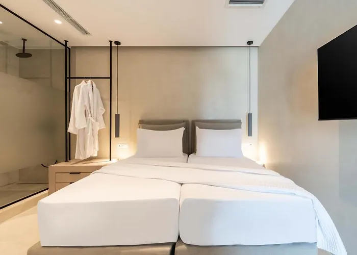 Aura Paros 酒店 纳乌萨